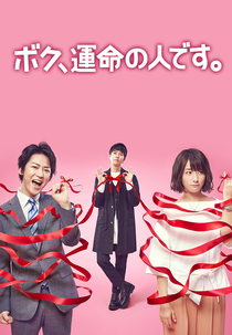 Boku, Unmei no Hito Desu (ボク、運命の人です。)