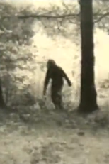 The Revenge of the Goonie Monster (The Revenge of the Goonie Monster)