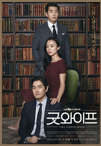The Good Wife (굿 와이프 (The Good Wife))