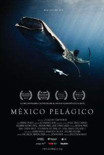 México Pelágico - Poster / Capa / Cartaz - Oficial 1