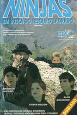 Os Pequenos Ninjas: Em Busca do Tesouro Sagrado (3 Little Ninjas and the Lost Treasure)