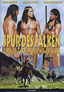 Spur des Falken (Spur des Falken)
