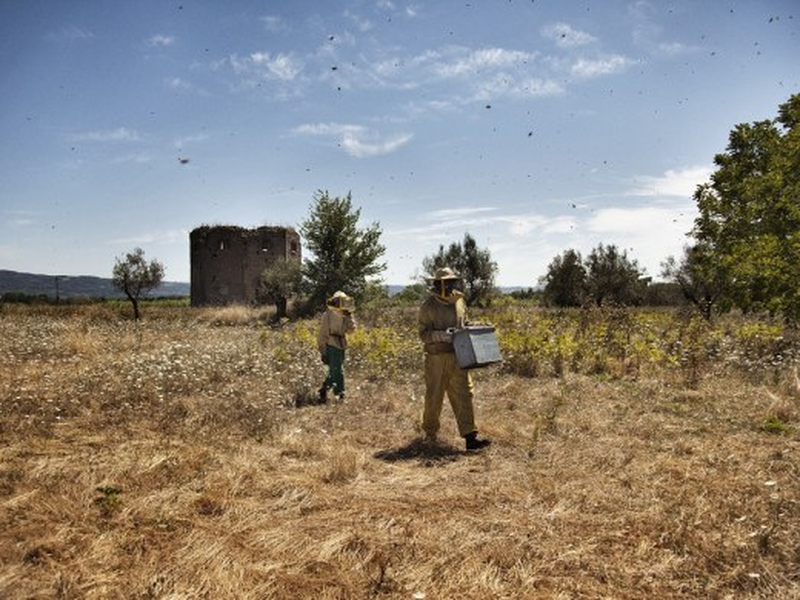 Foto 2 de As Maravilhas