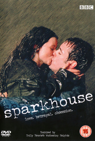 Poster 1 de Série Tormenta de Amor (2002)