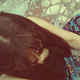 pri_h