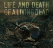 Life and Death of a Living Dead