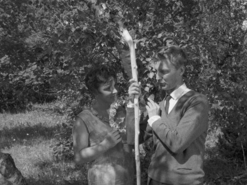 Foto 3 de Mehed ei Nuta