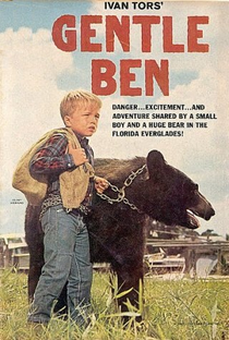 Ben, o Urso Amigo (1ª Temporada) - Poster / Capa / Cartaz - Oficial 1