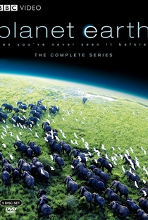 Série Planeta Terra - 1ª Temporada Download