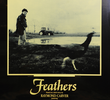 Feathers