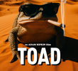 Toad
