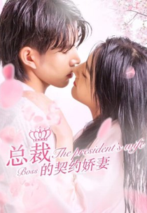 The President's Wife Boss (总裁的契约娇妻)
