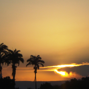 Foto de perfil de Odécia Monteiro