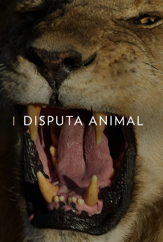 Poster 1 de Série Disputa Animal (2015)