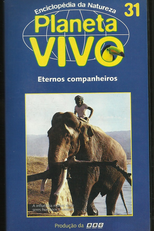 Planeta Vivo - Eternos Companheiros (Partners of Life & Life and Soul)