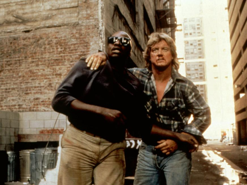 Foto 1 de Eles Vivem