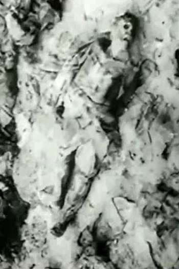 Poster de Curta Im Wald von Katyn (1943)