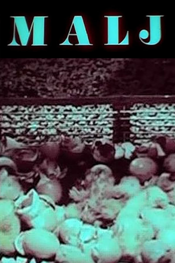 Poster de Curta Malj (1977)