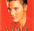 Elvis: A Rock Portrait Document