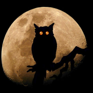 Foto de perfil de Benjamin(Medina)