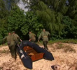 Special Forces