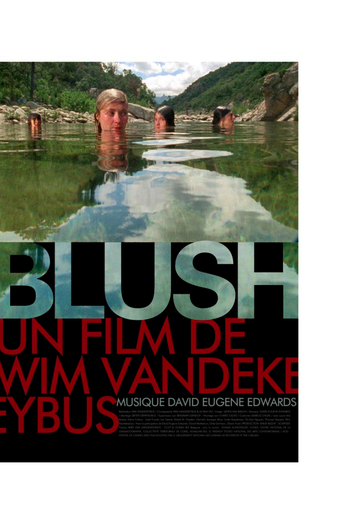 Poster de Filme Ultima Vez (2005)