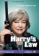 A Lei de Harry (1ª Temporada) (Harry's Law (Season 1))