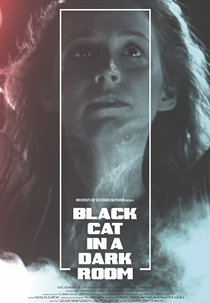Black Cat in a Dark Room (Black Cat in a Dark Room)