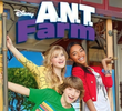 Programa de Talentos (2ª Temporada)