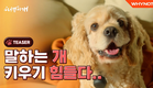 어느 날, 말하는 개한테 간택을 당했다💗 [너뿐이개] 11월 28일 (월) 오후 6시 첫 방송