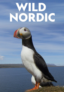 O Extraordinário Território da Escandinávia (Wild Nordic)