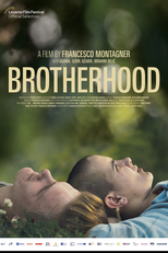 Brotherhood (Brotherhood)