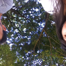 Foto de perfil de Marcela Bernardes