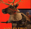 Christy: Santa's First Female Reindeer