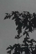 A função do filme (The function of film)