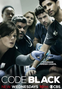 Code Black (1ª Temporada) (Code Black (Season 1))
