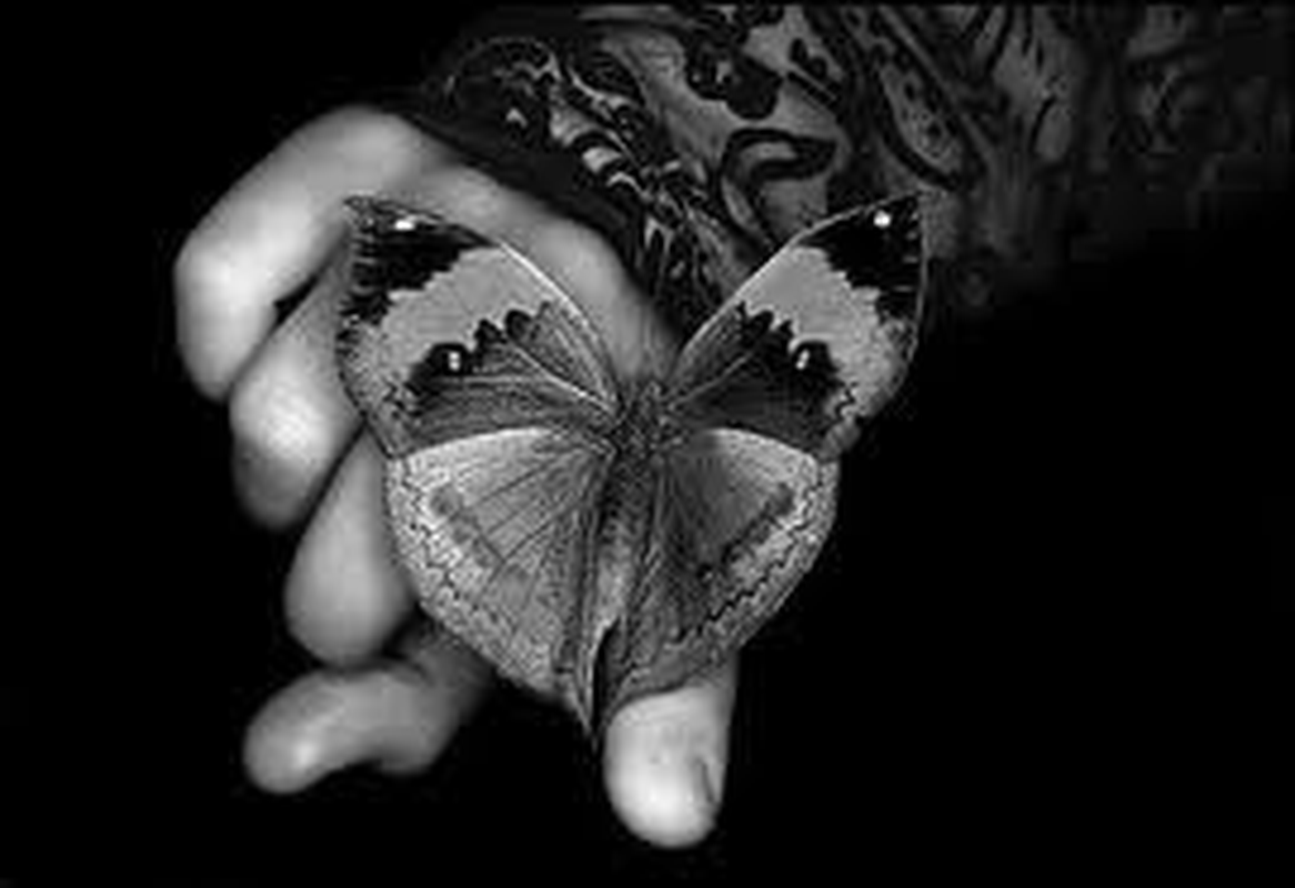 Lilly DiCine - Foto 4