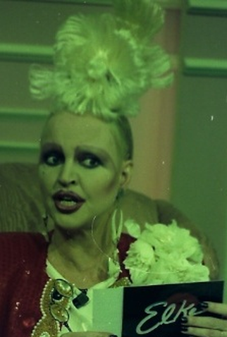 Poster 1 de TV Programa da Elke (1993)