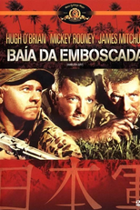 A Baía da Emboscada (Ambush Bay)