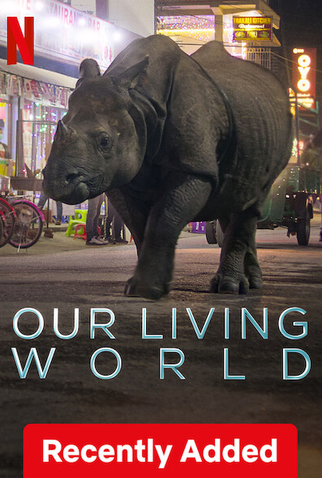 Poster 4 de Série Planeta Vivo (2024)