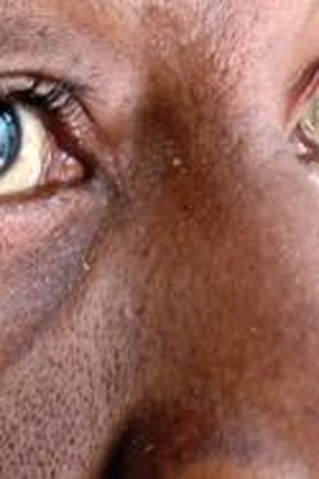  de Filme Bagatela (2010)