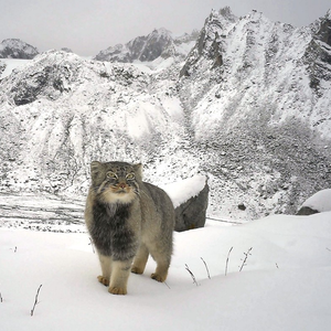 Foto de perfil de Alguém 35