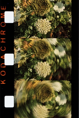 Poster 1 de Filme Midi (1985)