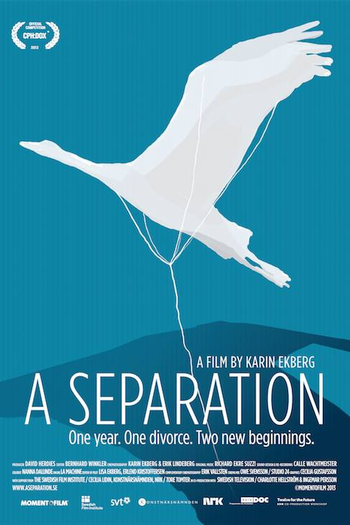 Poster de Filme Uma Separação (2013)