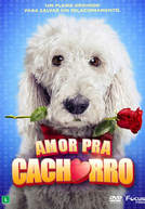 Amor Pra Cachorro (In The Dog House)