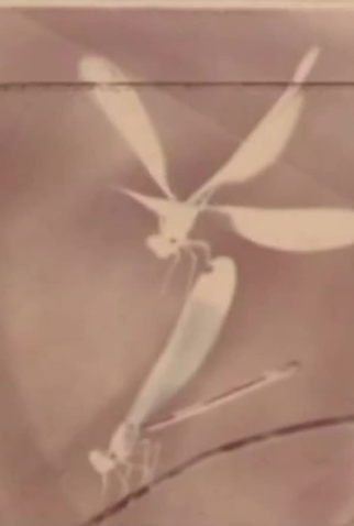 Poster 1 de Curta Play (2009)