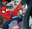 Marvel - Homem-Aranha (2ª Temporada)