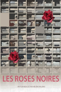 Les roses noires - Poster / Capa / Cartaz - Oficial 1