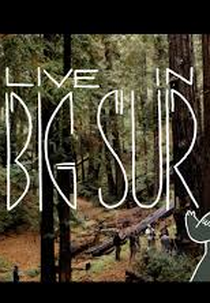 The Breeders - Live in Big Sur (The Breeders - Live in Big Sur)