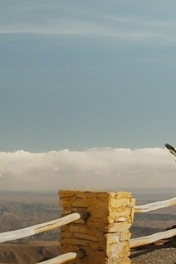 Poster de Filme Samuel Entre as Nuvens (2016)